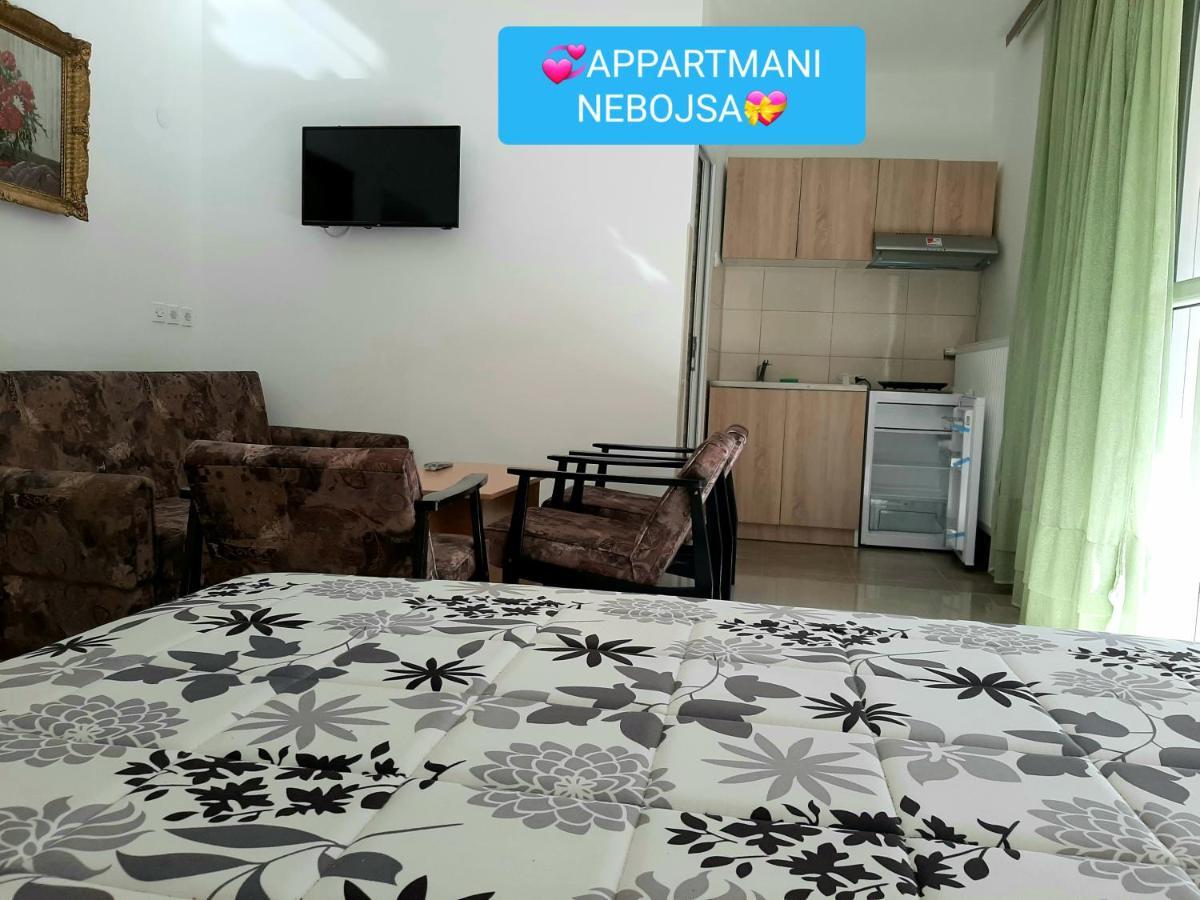 Apartments Nebojsa Сокобаня Экстерьер фото