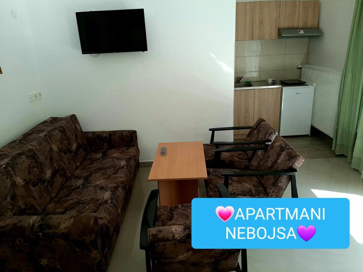 Apartments Nebojsa Сокобаня Экстерьер фото