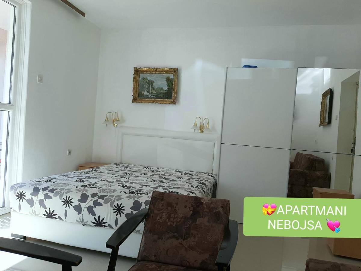 Apartments Nebojsa Сокобаня Экстерьер фото