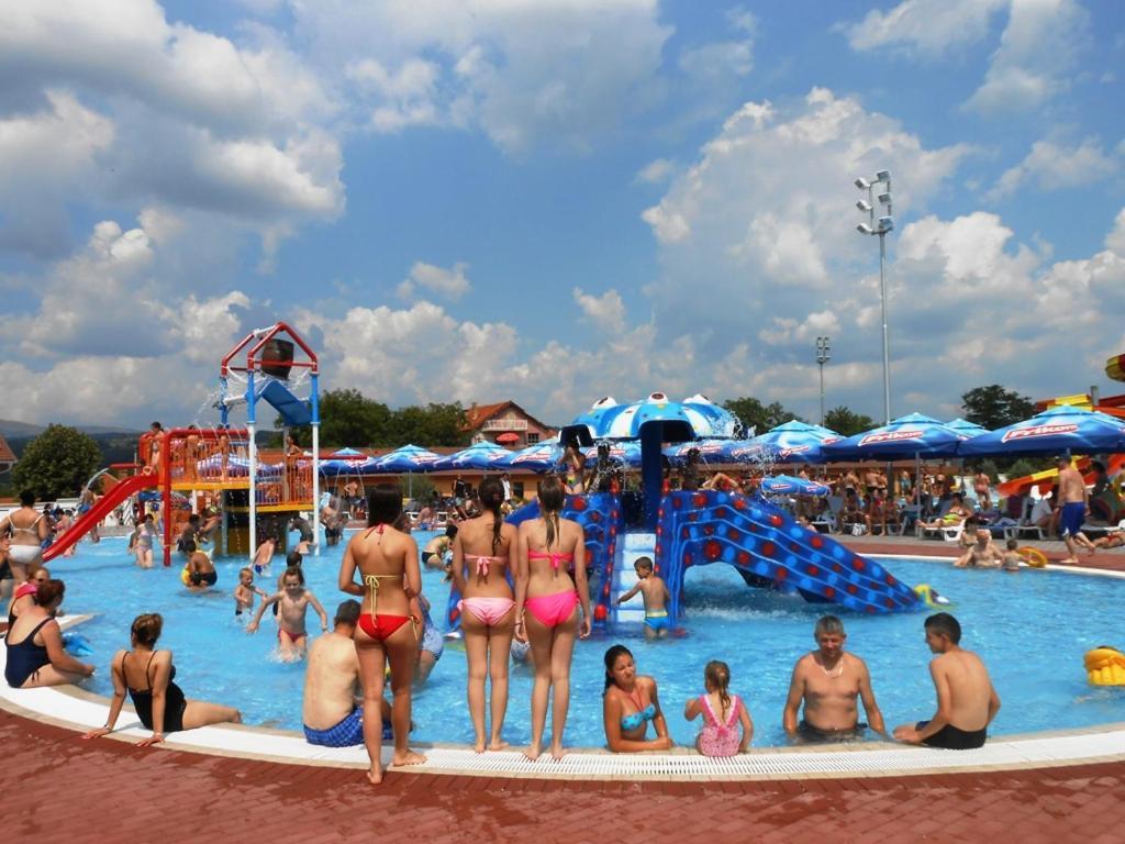 Apartments Nebojsa Сокобаня Экстерьер фото