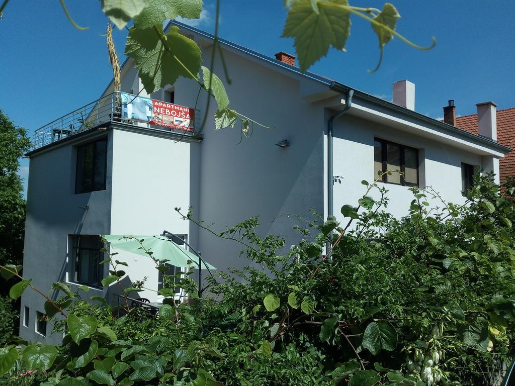 Apartments Nebojsa Сокобаня Экстерьер фото