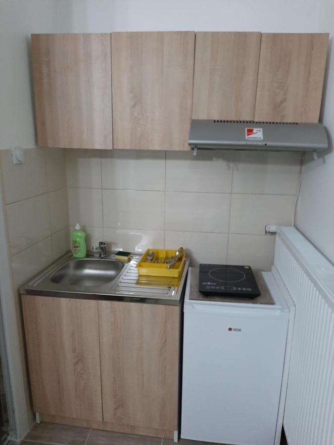 Apartments Nebojsa Сокобаня Экстерьер фото